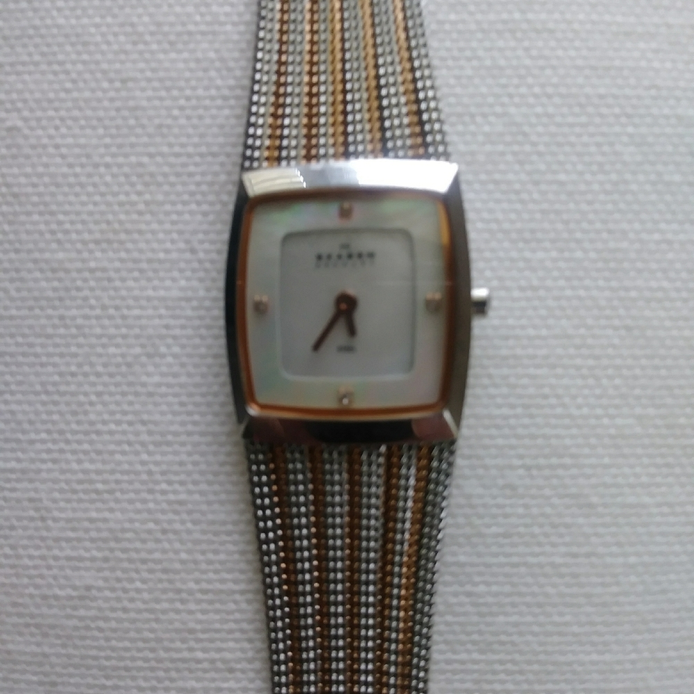 Skagen ladies watch.